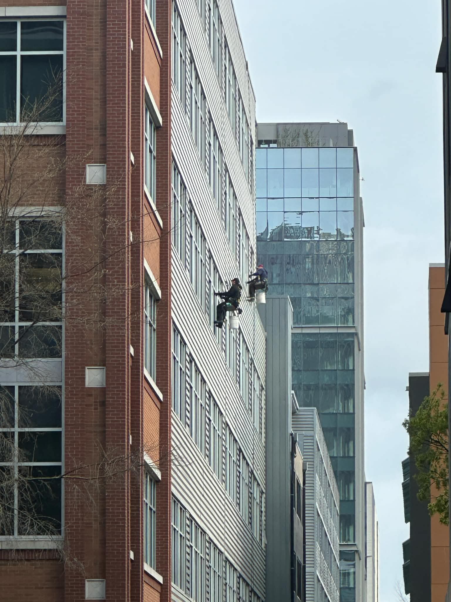 Commercial glass window cleaning service